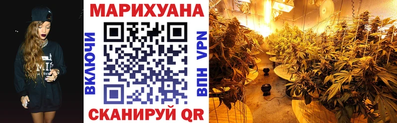 Псилоцибиновые грибы Суворов