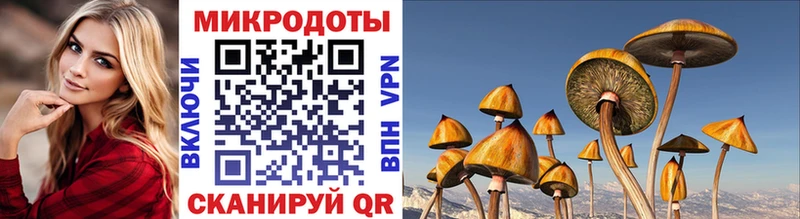 Псилоцибиновые грибы GOLDEN TEACHER  Купить где  Суворов 